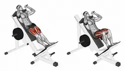 دستگاه هاگ پا (Foot Hog Machine)