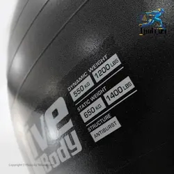 توپ بدنسازی لایو بادی قطر 85 سانتی متر - طب آسیا