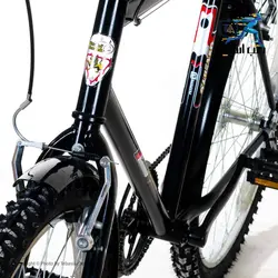 دوچرخه شهری آساک مدل دماوند سایز 26 - طب آسیا