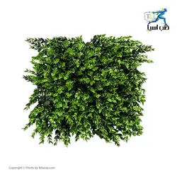 دیوار سبز مصنوعی پونه Mana Chaman - طب آسیا