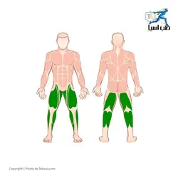 تردمیل لیدراسپرت مدل DK55AA - طب آسیا