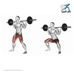 مقر اسکات آسمان فیتنس - طب آسیا