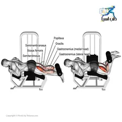 دستگاه جلو پا و پشت پا سیمکش آسمان فیتنس - طب آسیا