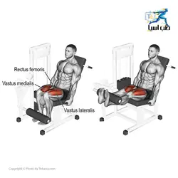 دستگاه جلو پا و پشت پا سیمکش آسمان فیتنس - طب آسیا