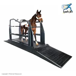 تردمیل حیوانات Horse Q-Line - طب آسیا