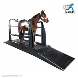 تردمیل حیوانات Horse Q-Line - طب آسیا
