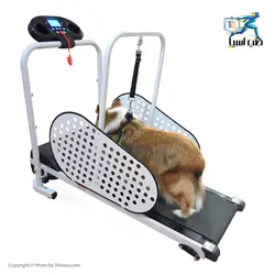تردمیل حیوانات خانگی شلندی SHELANDY - طب آسیا
