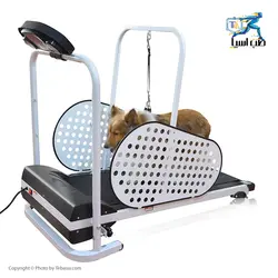 تردمیل حیوانات خانگی شلندی SHELANDY - طب آسیا