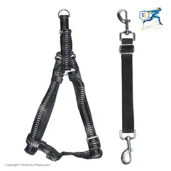 تردمیل حیوانات خانگی شلندی SHELANDY - طب آسیا