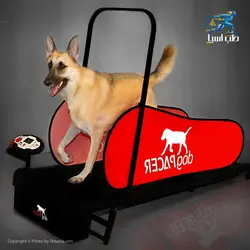 تردمیل سگ داگ پیسر مدل dogPACER 91641 LF 3.1 - طب آسیا