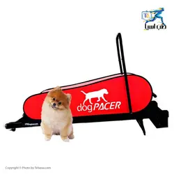تردمیل سگ داگ پیسر مدل dogPACER Minipacer - طب آسیا