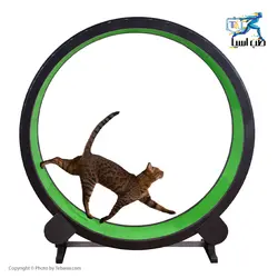چرخ تمرینی سریع گربه ONE FAST CAT - طب آسیا