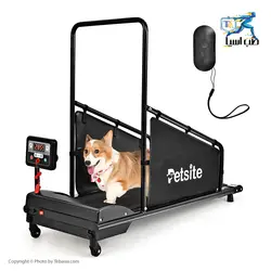 تردمیل سگ پت سایت PETSITE - طب آسیا