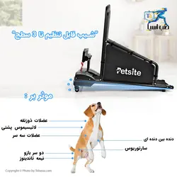 تردمیل سگ پت سایت PETSITE - طب آسیا