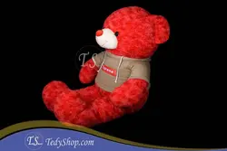 خرس قرمز هودی دار