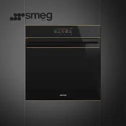 فر توکار اسمگ مدل SFP6606WSPNR