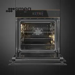 فر توکار اسمگ مدل SFP6606WSPNR