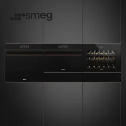 فر توکار اسمگ مدل SFP6606WSPNR