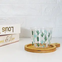 لیوان طرح کاکتوس مدل بدون دسته