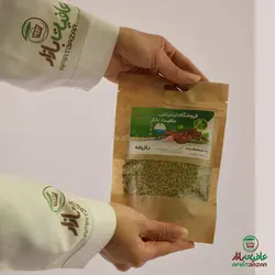 رازیانه-بادیان 100 گرم