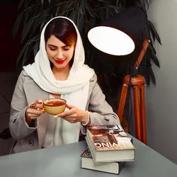 آباژور ایستاده افرانوس مدل کرین B