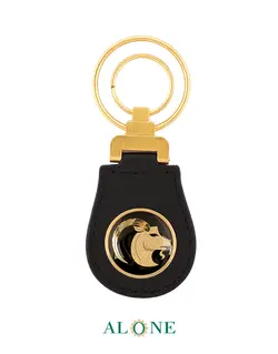 جاسوئیچی گرد مشکی دی