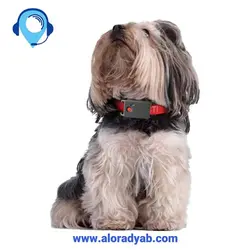 خرید ردیاب شخصی سینوترک مدل ST 904 | الو ردیاب