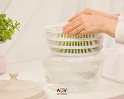 سبزی خشک کن لیمون کد 1921