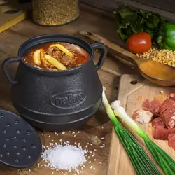 دیزی چدن نالینو مدل family