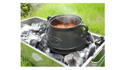 دیزی چدن نالینو مدل family