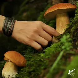 دستبند طرح شب جنگل