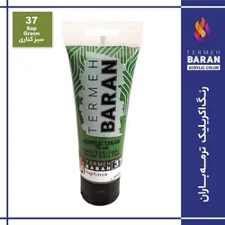 رنگ اکرلیک 75 میل ترمه باران Sap Green 37