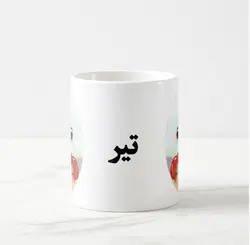 ماگ ماه تیر (عقیق)