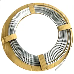 زه باک هندا نقره ای
