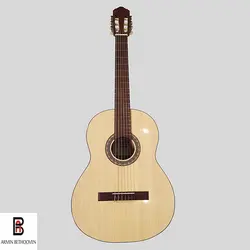 گیتار بنبرگ مدل BG-491