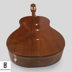 گیتار بنبرگ مدل BG-491