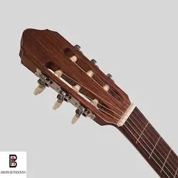گیتار بنبرگ مدل BG-491