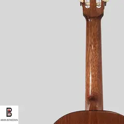 گیتار بنبرگ مدل BG-491