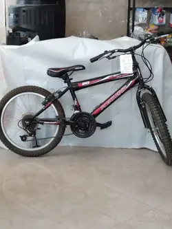 دوچرخه 20 مریلند