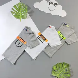 تیشرت اسپرت