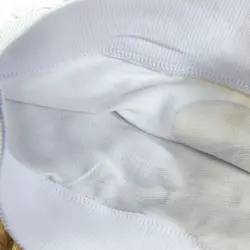 ست دایناسور