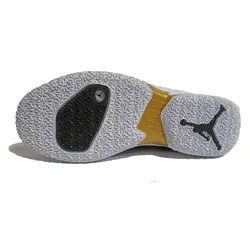 کفش بسکتبال نایک مدل Nike jordan why not zero4