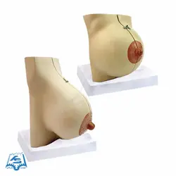 مولاژ سینه (قبل و بعد زایمان) مدل ASM61