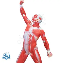 مولاژ عضلات بدن (فیگوردار) مدل ASM44-1