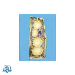 مولاژ سلول گیاهی مدل ASM59