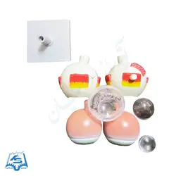 مولاژ کره چشم (کوچک) مدل ASM15