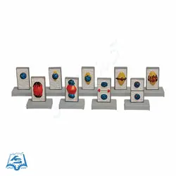 مولاژ میتوز در سلول گیاهی مدل ASM52