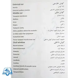 مولاژ گوش مدل ASM17