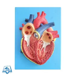 مولاژ قلب (دیواری) مدل ASM31