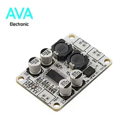 ماژول آمپلی فایر تک کاناله 30 وات مونو TPA3110